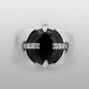 R9301