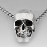 Anonymous PP1601 Mega Skull front view.