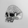 Anonymous R468 Crystal Skull left view.